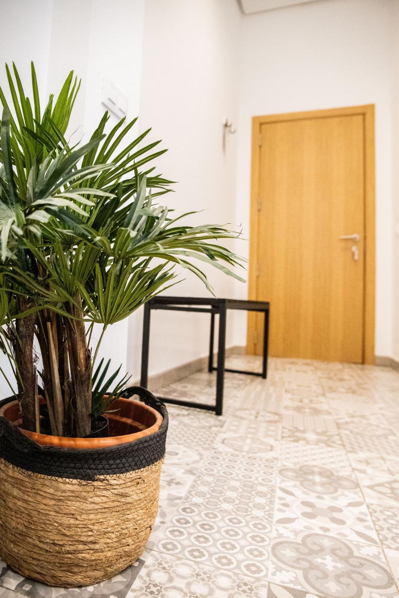 Zalamera Bnb Valencia Room photo